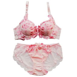 黛安芬內(nèi)衣價格指南及比價攻略 460-500元商品精選與51比購返利網(wǎng)評測