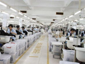 內(nèi)衣廠家為何信賴波而朵 品質(zhì)、創(chuàng)新與服務(wù)的三重保障