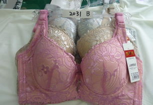 批發(fā)優(yōu)質(zhì)品牌文胸，舒適柔軟，廠家直供，價(jià)格實(shí)惠，圖片實(shí)拍